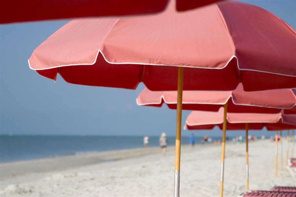 Song Of The Sea Hotel Sanibel Nature photo